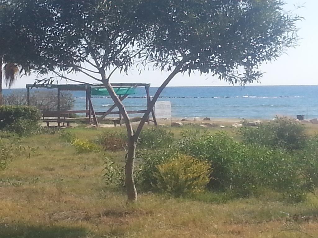 Kermia Beach Apartment Larnaca Room photo